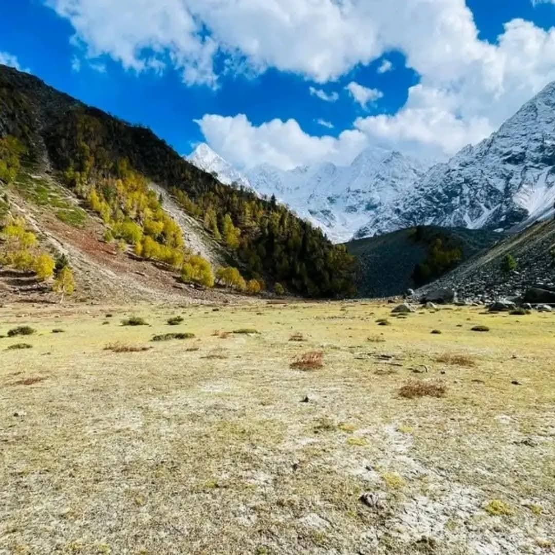 Fairy Meadows 4 Days — Lahore → Chilas → Raikot → Fairy Meadows → back