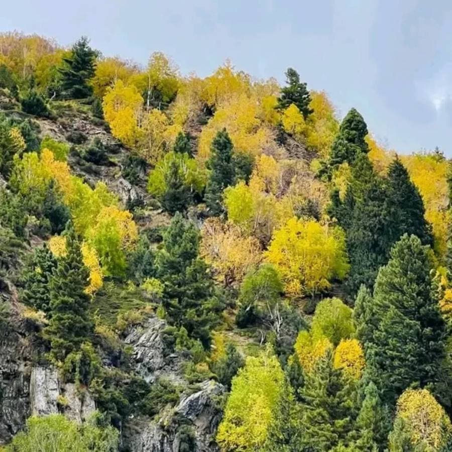 Kumrat scenery